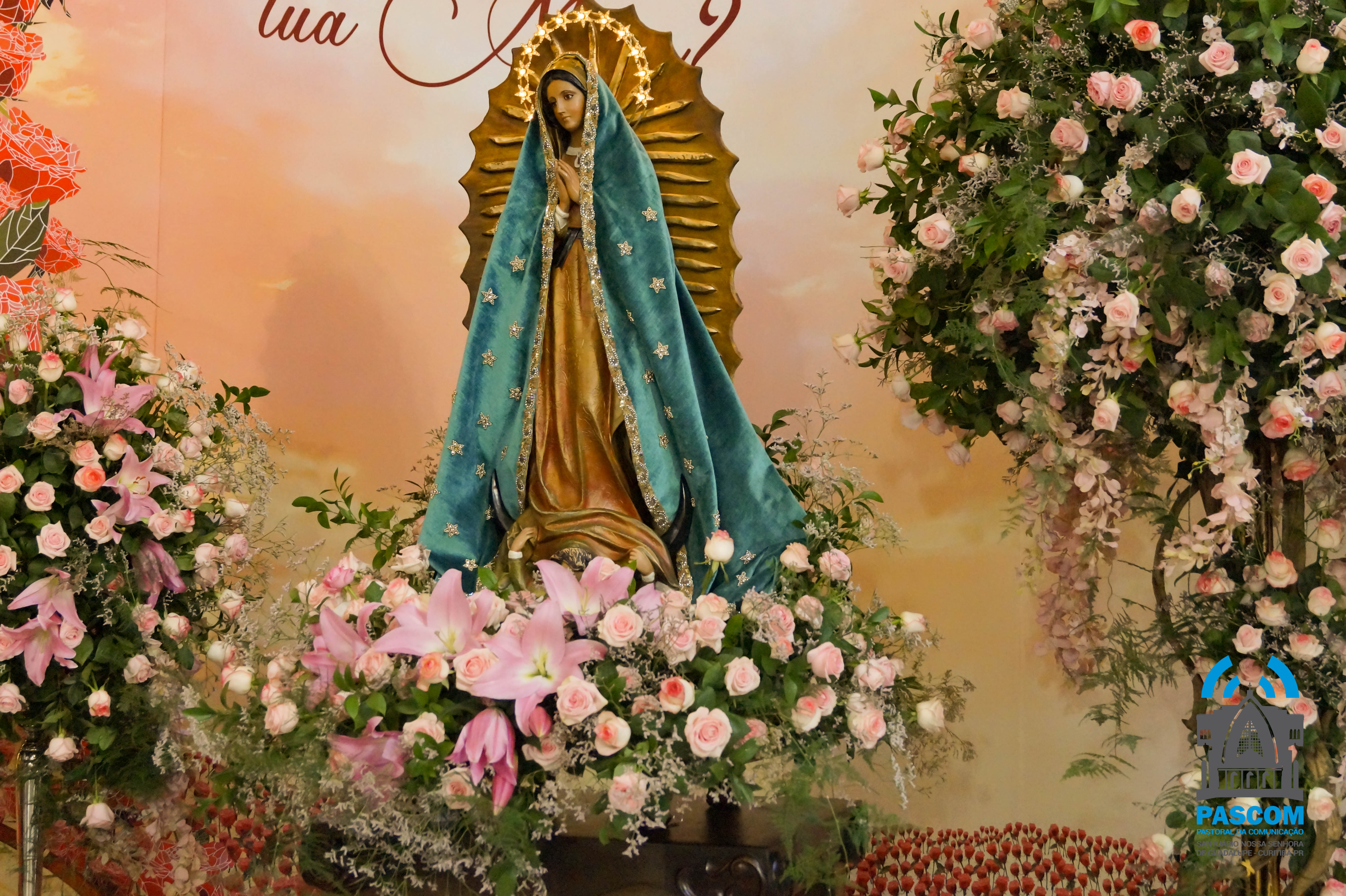 Santuário Nossa Senhora de Guadalupe Página 7 de 350 Santuário Nossa Senhora de Guadalupe